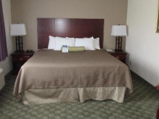 Room #53430122 at Best Western Big Spring Lodge