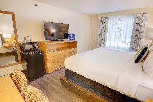 Room #18574346 at Guy Harvey Resort on St Augustine Beach