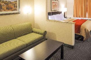 Room #27759006 at Comfort Inn & Suites Alameda at Albuquerque Balloon Fiesta Park