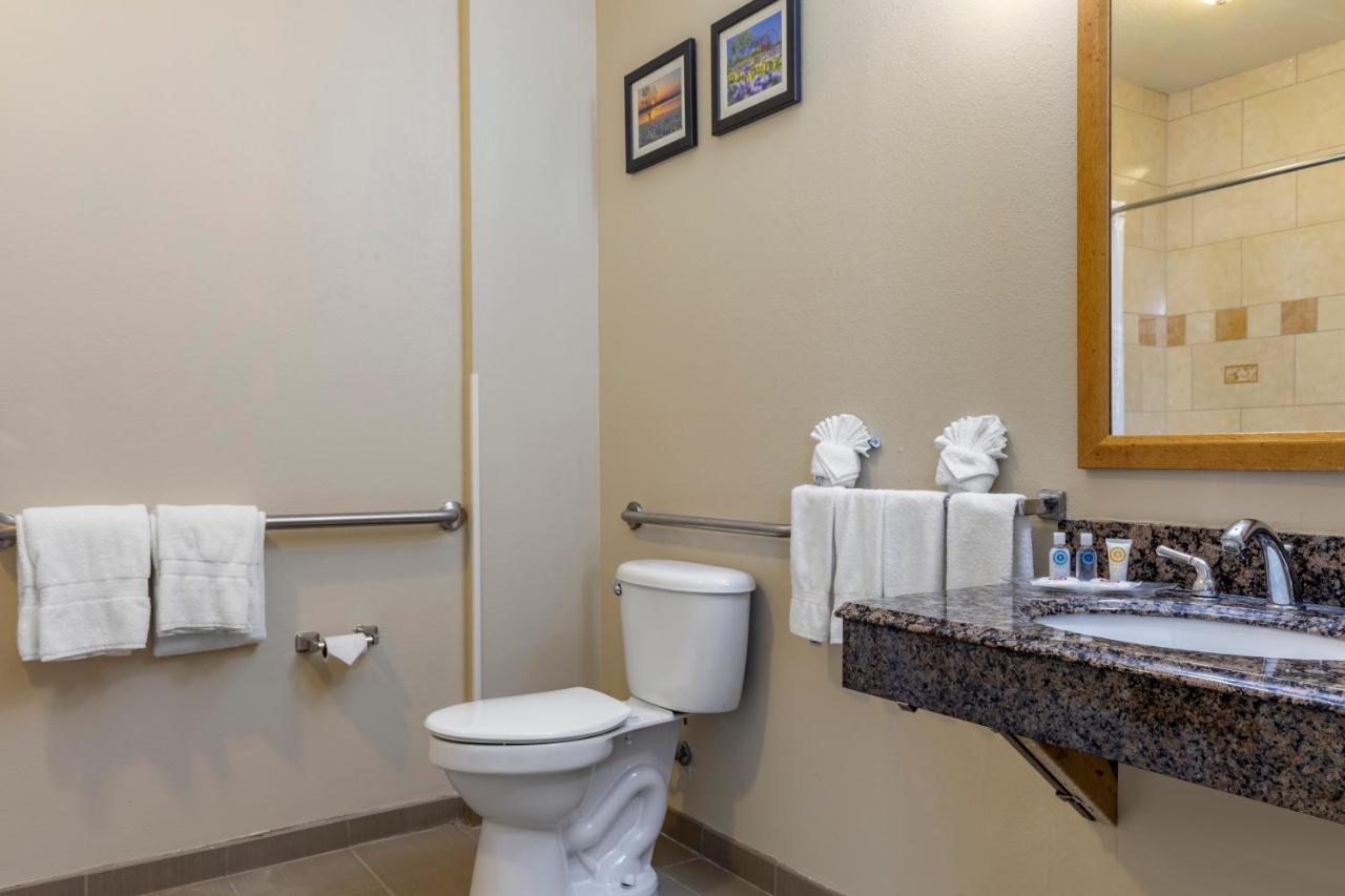 King Suite - Accessible/Non-Smoking at Comfort Suites Plano - Dallas North