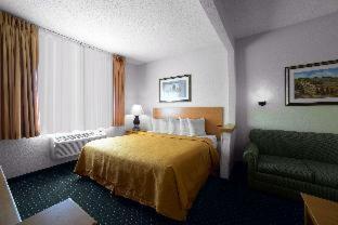 Room #48985808 at Quality Inn and Suites Springfield Southwest near I-72
