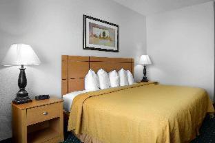 Room #48985809 at Quality Inn and Suites Springfield Southwest near I-72