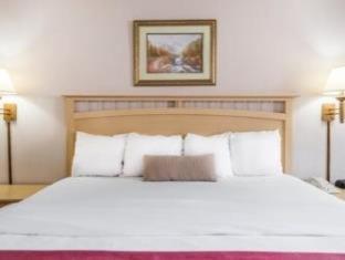 Room #109342123 at Pottsville Inn