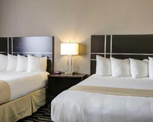 Room #49201705 at Quality Inn & Suites Bryan-College Station