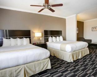 Room #49201705 at Quality Inn & Suites Bryan-College Station