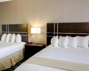 Room #49201705 at Quality Inn & Suites Bryan-College Station