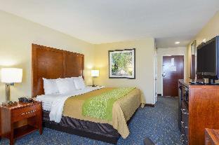 Room #49214010 at Comfort Inn Woodstock Shenandoah