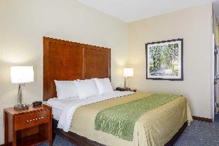 Room #49214010 at Comfort Inn Woodstock Shenandoah