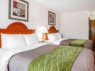 Room #32875409 at Clarion Pointe Racine - Mount Pleasant