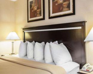Room #48985206 at Quality Inn Aurora - Naperville Area