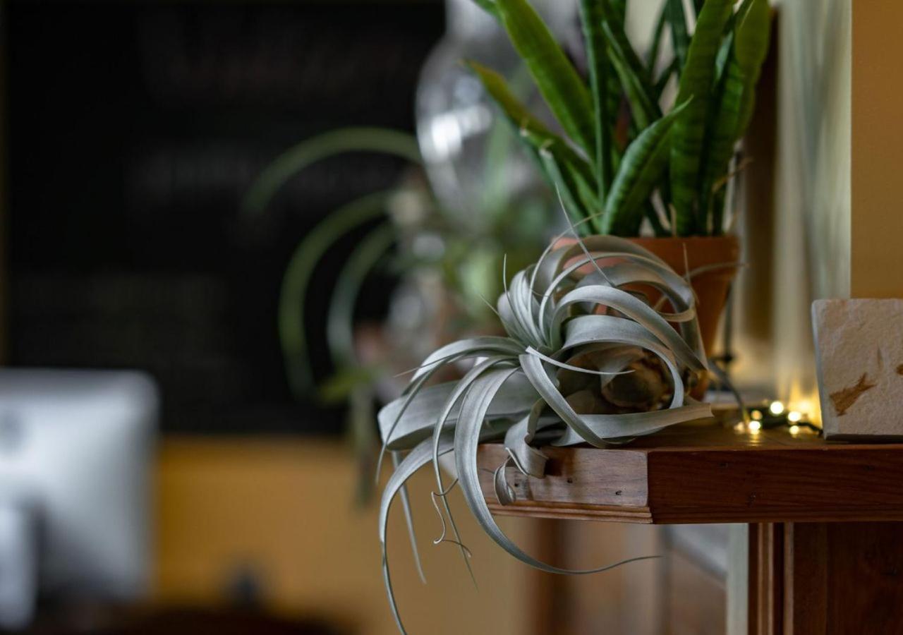 | Rugosa Guest House