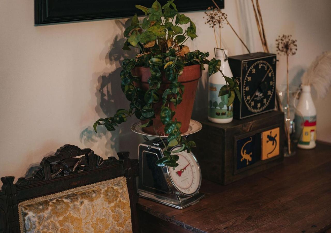 | Rugosa Guest House