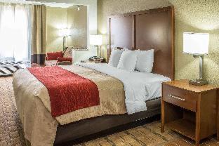 Room #32111307 at Comfort Inn & Suites Cedar Rapids North - Collins Road