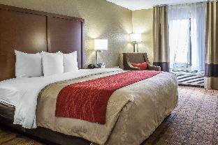 Room #32111308 at Comfort Inn & Suites Cedar Rapids North - Collins Road