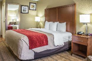 Room #32111308 at Comfort Inn & Suites Cedar Rapids North - Collins Road