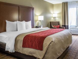 Room #32111308 at Comfort Inn & Suites Cedar Rapids North - Collins Road