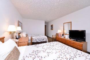 Room #49438443 at Americas Best Value Inn & Suites International Falls