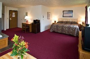 Room #49438410 at Americas Best Value Inn & Suites International Falls