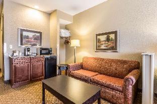 Room #18779514 at Quality Inn & Suites Hendersonville - Flat Rock