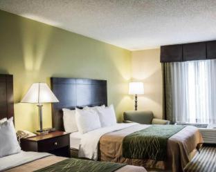 Room #48950211 at Comfort Inn & Suites St. Pete - Clearwater International Airport