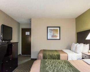 Room #48950211 at Comfort Inn & Suites St. Pete - Clearwater International Airport