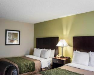 Room #48950211 at Comfort Inn & Suites St. Pete - Clearwater International Airport