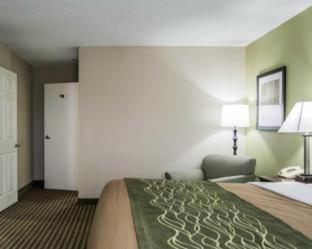 Room #48950212 at Comfort Inn & Suites St. Pete - Clearwater International Airport