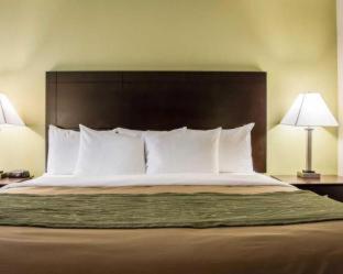 Room #48950212 at Comfort Inn & Suites St. Pete - Clearwater International Airport