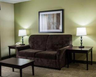 Room #48950212 at Comfort Inn & Suites St. Pete - Clearwater International Airport
