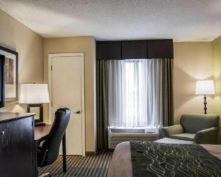 Room #48950213 at Comfort Inn & Suites St. Pete - Clearwater International Airport