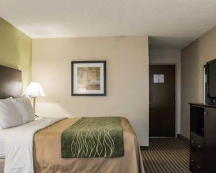 Room #48950213 at Comfort Inn & Suites St. Pete - Clearwater International Airport