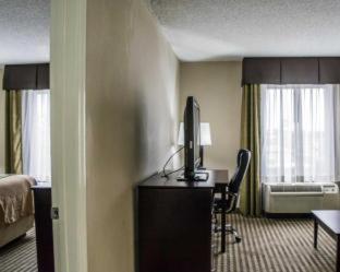 Room #48950214 at Comfort Inn & Suites St. Pete - Clearwater International Airport