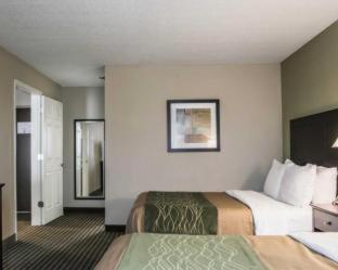 Room #48950214 at Comfort Inn & Suites St. Pete - Clearwater International Airport