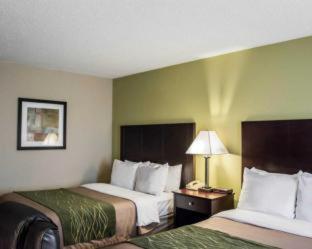 Room #48950214 at Comfort Inn & Suites St. Pete - Clearwater International Airport