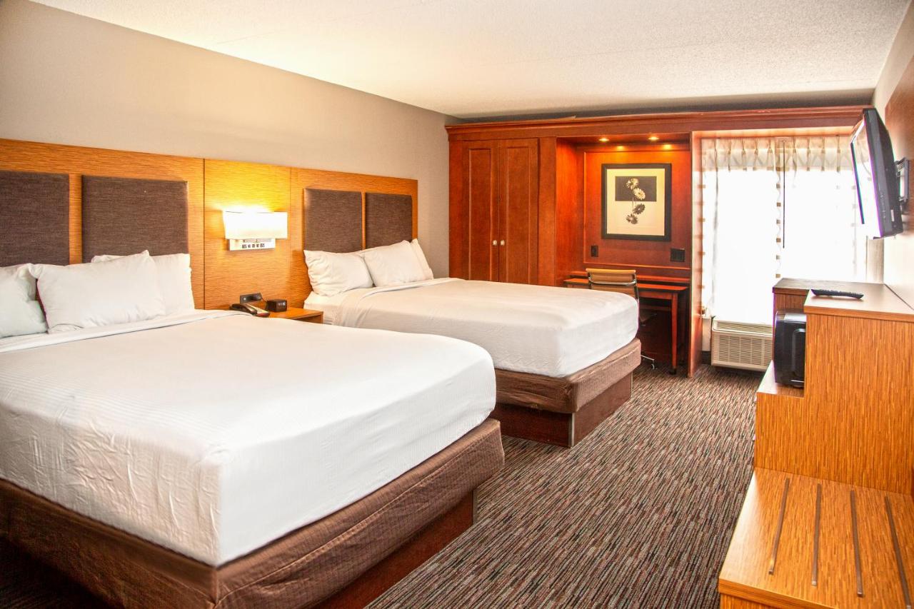Studio with 2 Queen Beds - Non-Smoking at Extended Stay America Suites - Springfield