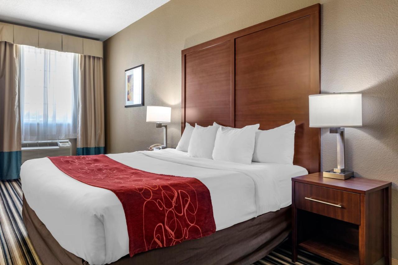 King Suite - Accessible/Non-Smoking at Comfort Suites Waco North - Near University Area