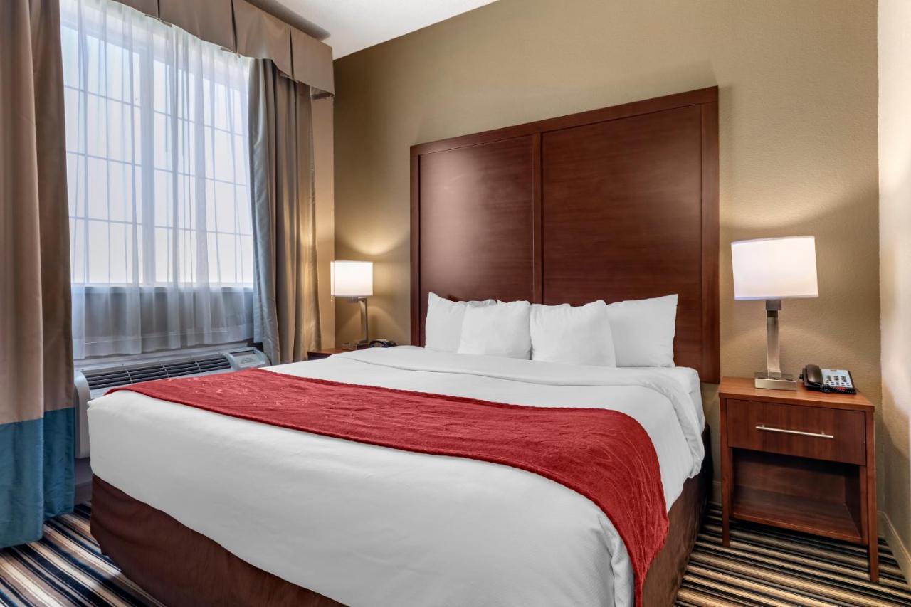 King Suite - Accessible/Non-Smoking at Comfort Suites Waco North - Near University Area