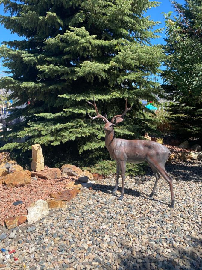 | Browns Canyon Inn
