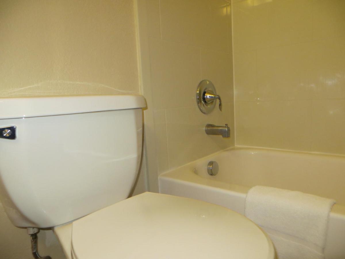 King Suite with Sofa Bed - 2nd Floor at Comfort Suites New Braunfels - San Antonio Area
