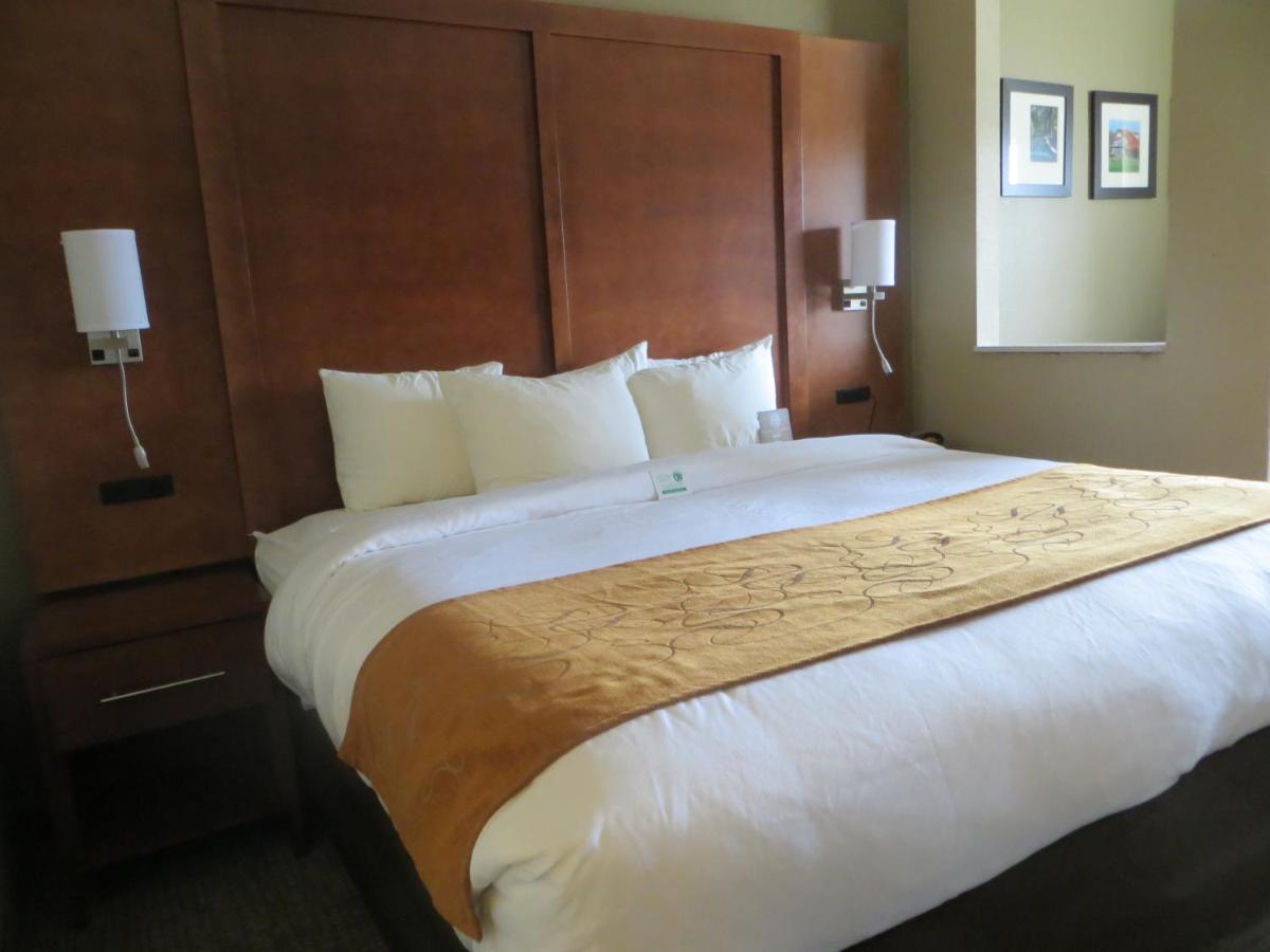 Queen Suite with Two Queen Beds - 1st Floor at Comfort Suites New Braunfels - San Antonio Area