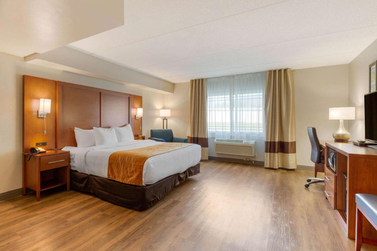 King Room - Accessible/Non-Smoking at Comfort Inn & Suites