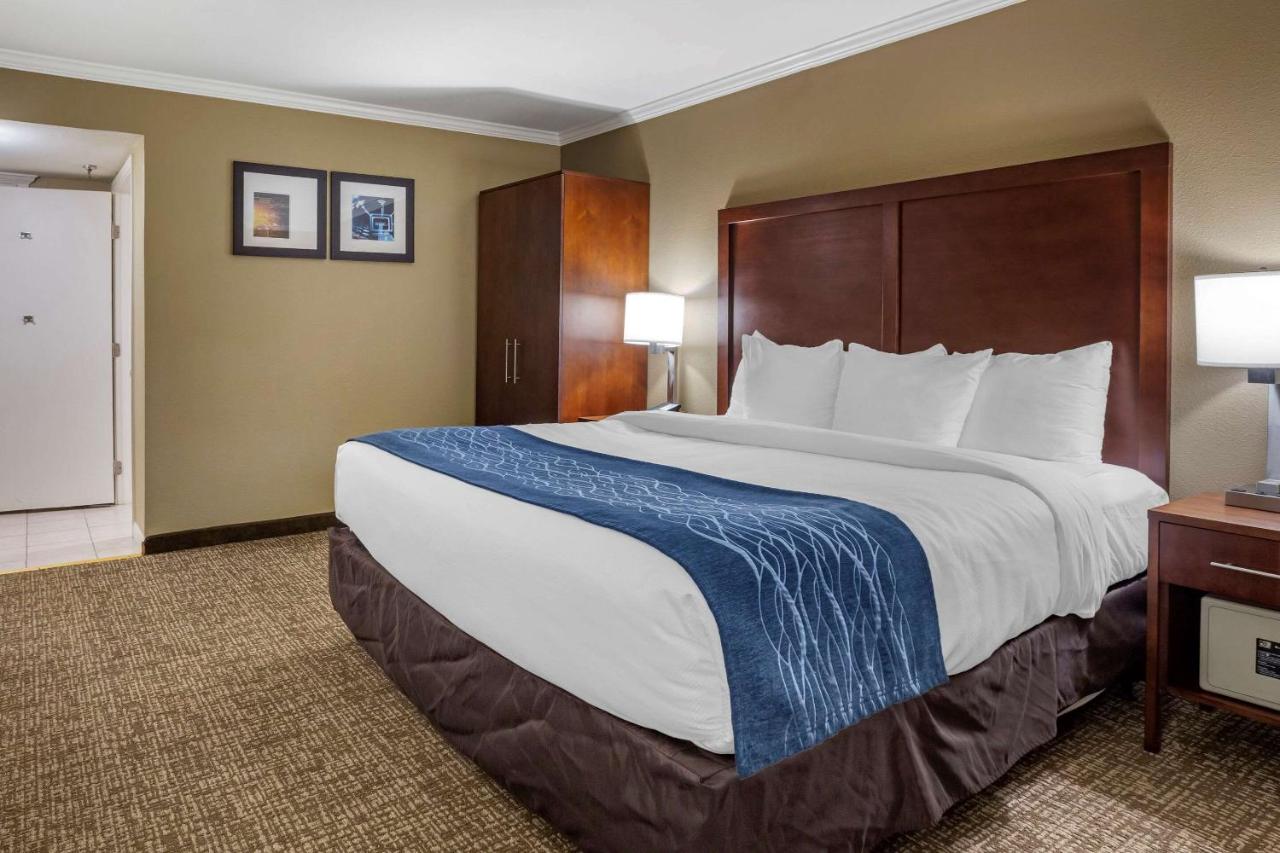 Deluxe Room, 1 King Bed with Whirlpool, Non Smoking at Comfort Inn Sunnyvale - Silicon Valley