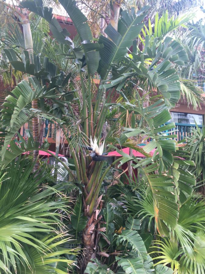  | Ft. Lauderdale Beach Resort Hotel