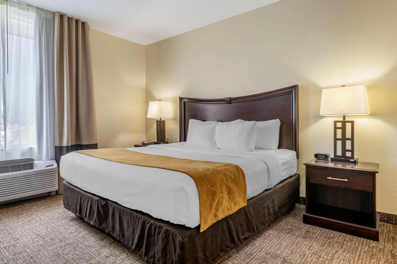 One-Bedroom King Suite with Sofa Bed - Non-Smoking at Comfort Suites Maingate East