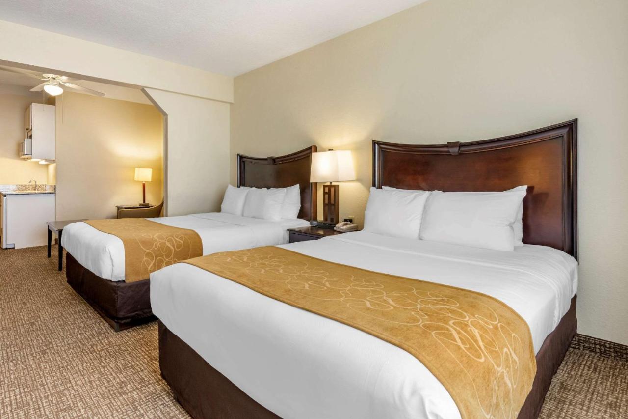 Queen Suite at Comfort Suites Maingate East