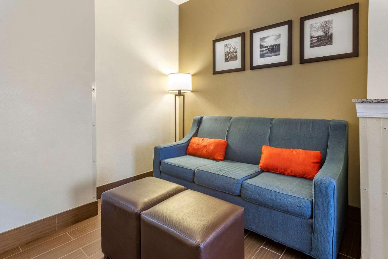 King Room at Comfort Suites Newark - Harrison