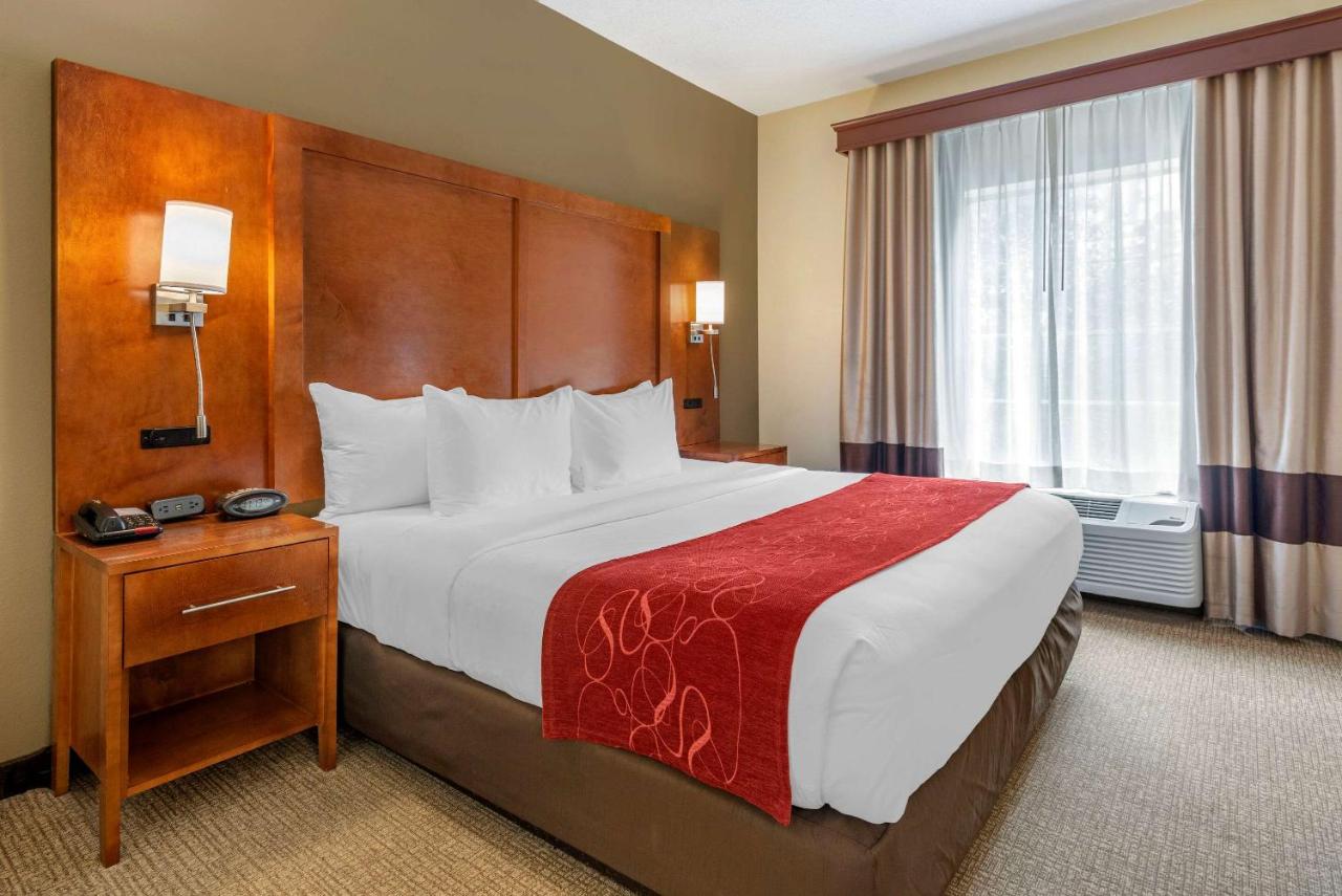 King Suite - Non-Smoking at Comfort Suites Newark - Harrison