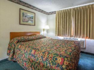 Room #49138608 at Rodeway Inn Bedford