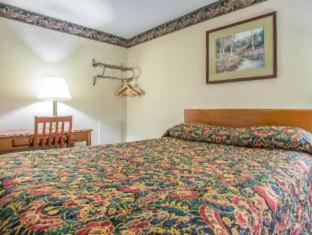 Room #49138608 at Rodeway Inn Bedford