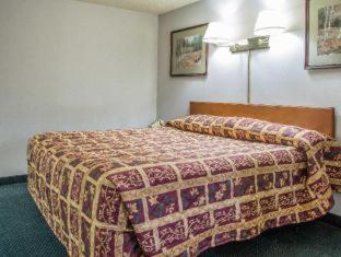 Room #49138608 at Rodeway Inn Bedford